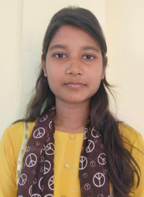 Best All Academic Subjects tutor in Lucknow